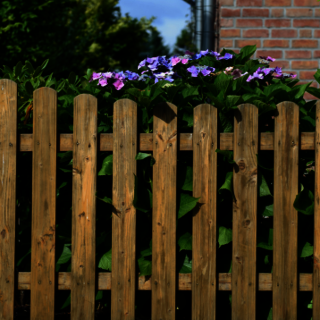 Clôture en bois
